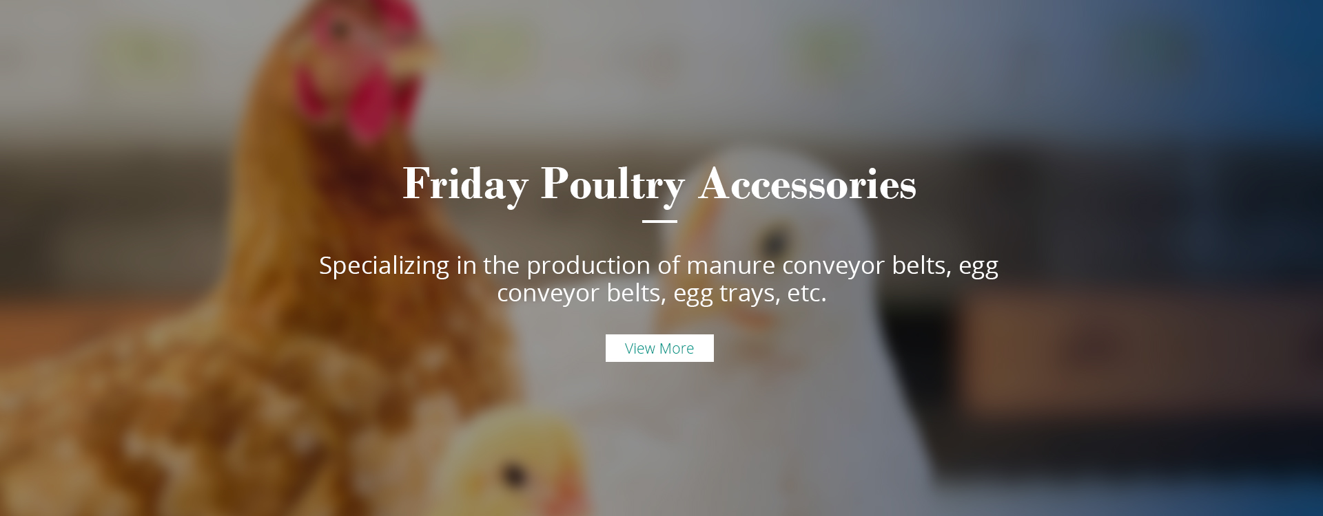 Friday Poultry Accessories