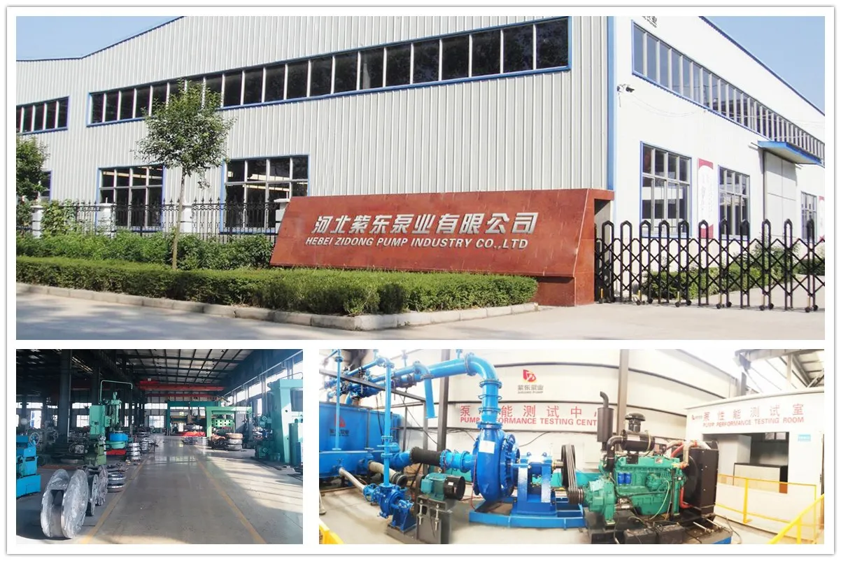 High Quality China Shijiazhuang Slurry Pump Factory Tour