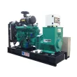 Weifang Ricardo Diesel Engines Generator Set
