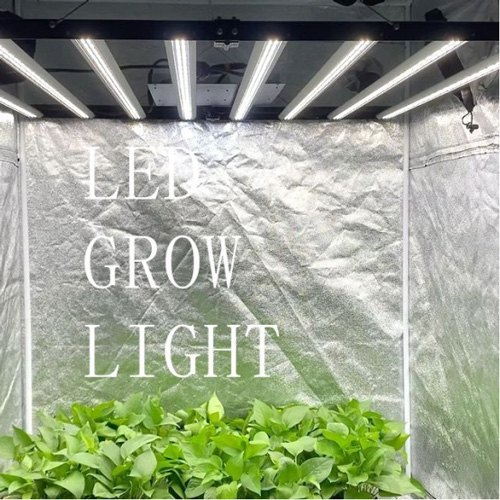 How much do you know about plant lights and growing lights?