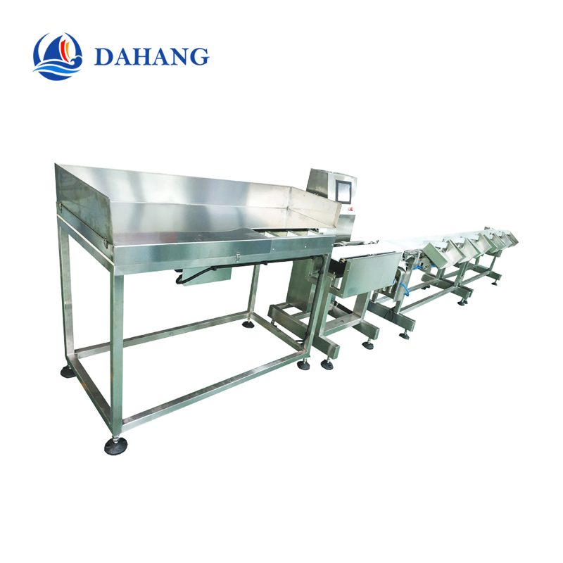 Food Grade Belt Weight Sorting Machine for Oyster