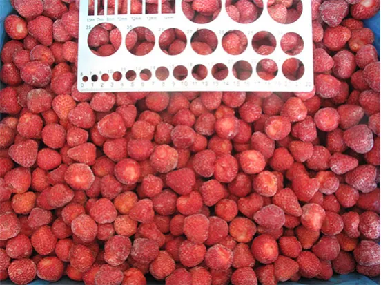 Vente de fraises congelées en Chine