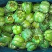 Coupes de poivrons verts surgelés