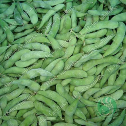 Fèves de soja vertes surgelées