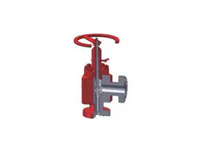 What are the Sealing Surfaces of the Valve?