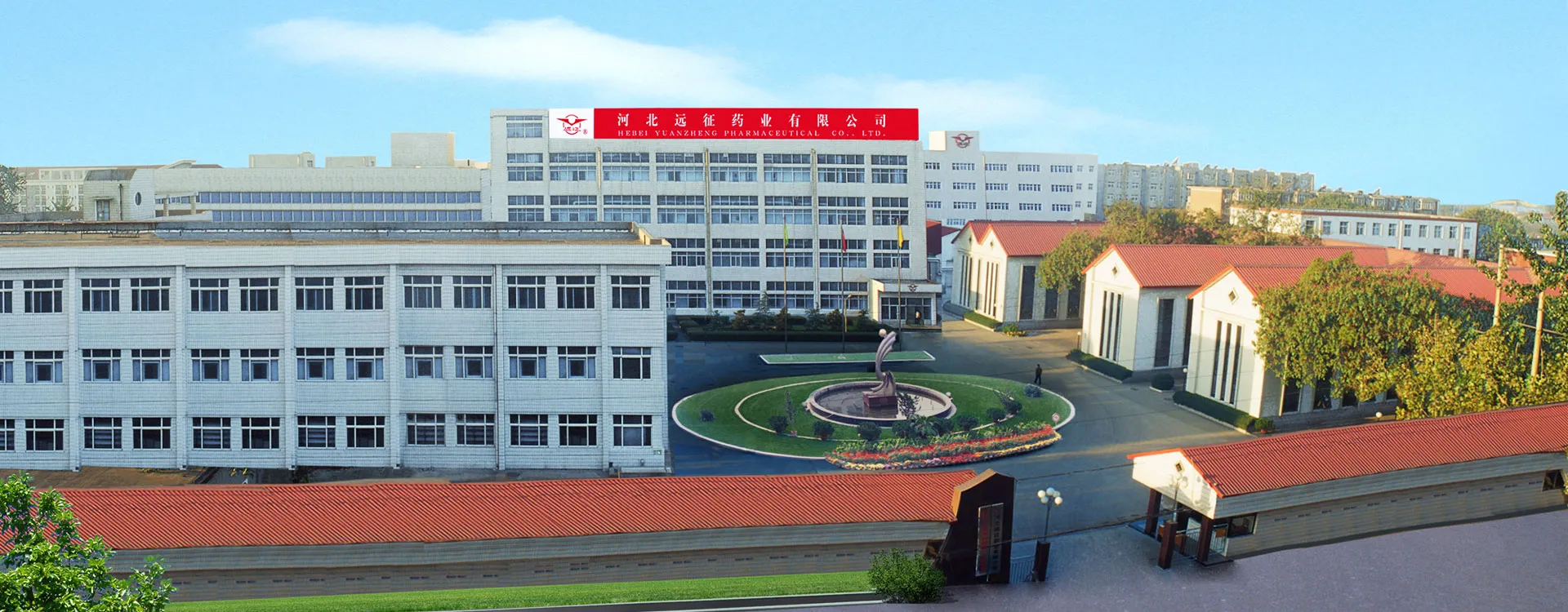 Co. farmacêutico de Hebei Yuanzheng, Ltd.