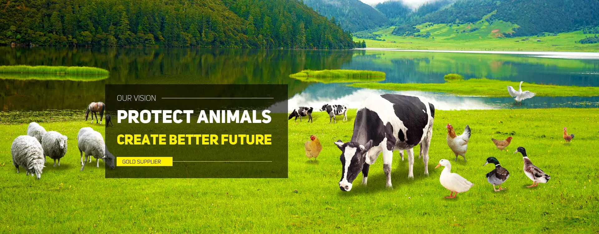 Защитите животных, создайте лучшее будущее