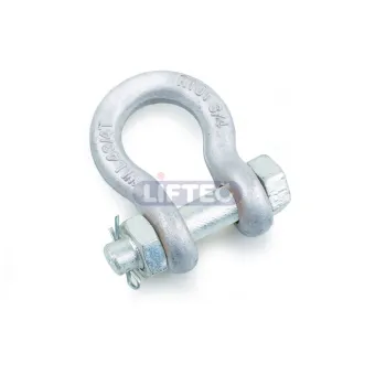 US Type Forged Bow Safety Shackle
