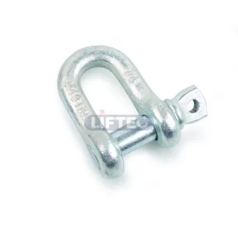 US Type Forged Dee Shackle