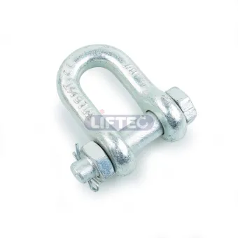 US Type Forged Dee Safety Shackle