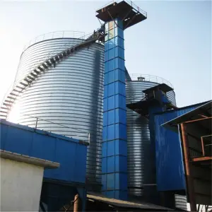 Ascenseur vertical de seau de type de ceinture de TZ pour le moulin à farine / ciment / sable