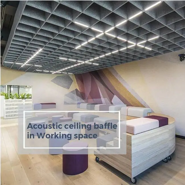 Acoustic Ceiling Baffle