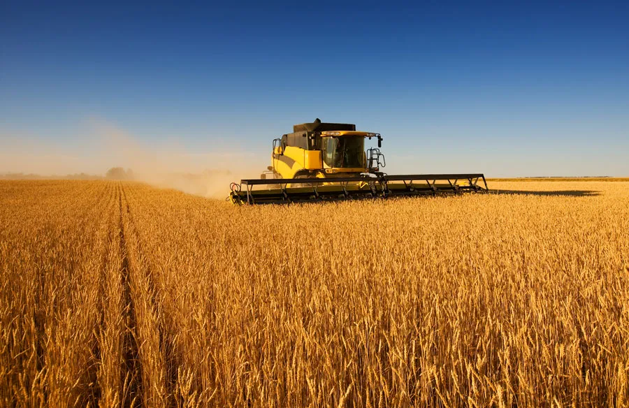 Wheat Agriculture Machine 1-1.jpg