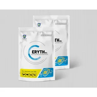Erythromycin Thiocyanate Soluble Powder Indicated in Respiratory Disease