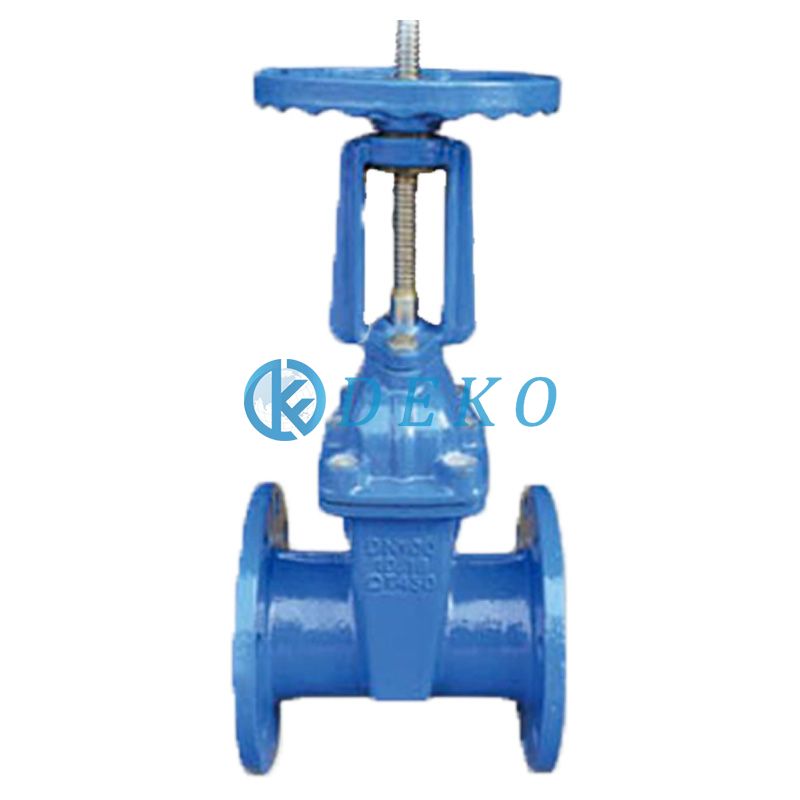 BS Rising Stem Resilient Seated gate valve