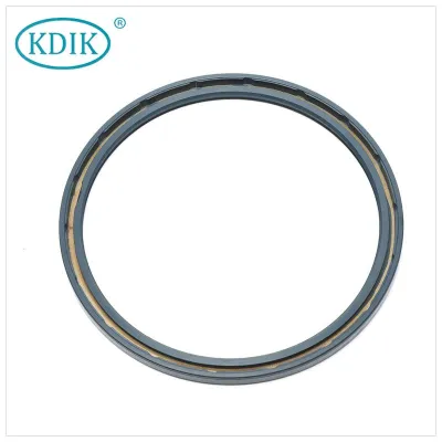 Tcv Oil Seal High Pressure Oil Seal Cfw Babsl 140*160*8 for Hydraulic Pump Seal NBR FKM