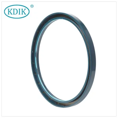 Tcv Oil Seal High Pressure Oil Seal Cfw Babsl 165*190*13 for Hydraulic Pump Seal NBR FKM