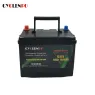 Batterie de démarrage LiFePO4 12V 80Ah pour voitures et camions