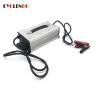 Chargeur de batterie au lithium-ion 48V 20A LifePO4 pour EV