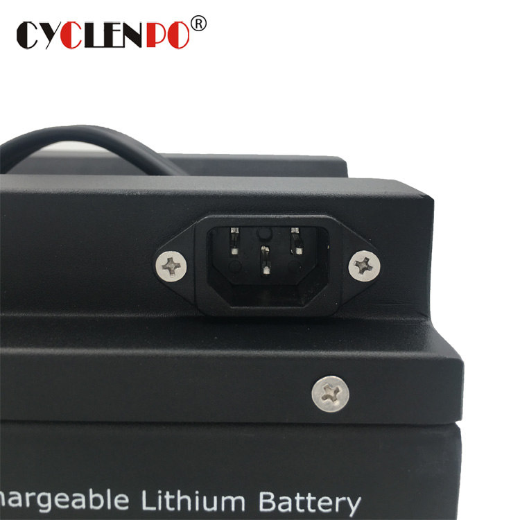 Lange Lebensdauer 48V 20Ah Lifepo4 Batterie für Elektroroller und Motorrad
