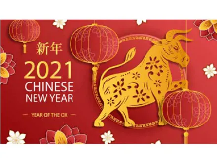 Hebei Lan Ze Instrument Technology Co., Ltd. Wishes you a Happy Chinese New Year!