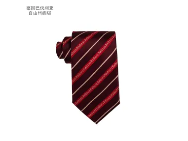 Leikatz bedrijf aangepaste heren stropdassen- [knappe stropdas]