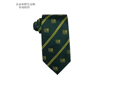 Fwag south east custom logo tie-[Handsome tie]