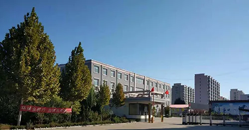 Shijiazhuang Runni Trading Co., Ltd.