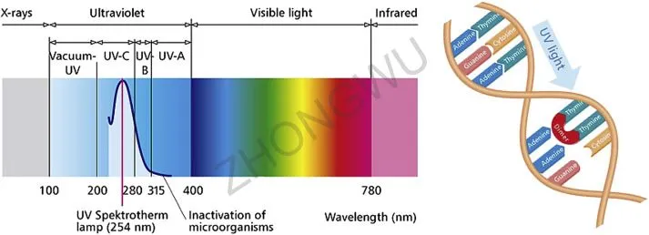 Principio di funzionamento della disinfezione UV