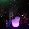 5L Chargeable LED Plastic ice bucket for party bar