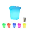 Rechargeable Battery operated colorful Belaire rose champagne Led illuminated ice bucket Lighted Halloween Bucket