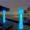 Fashion Home Decor Color Changing Standing Floor Lamp / Remote Control LED Standing Floor Lamp
