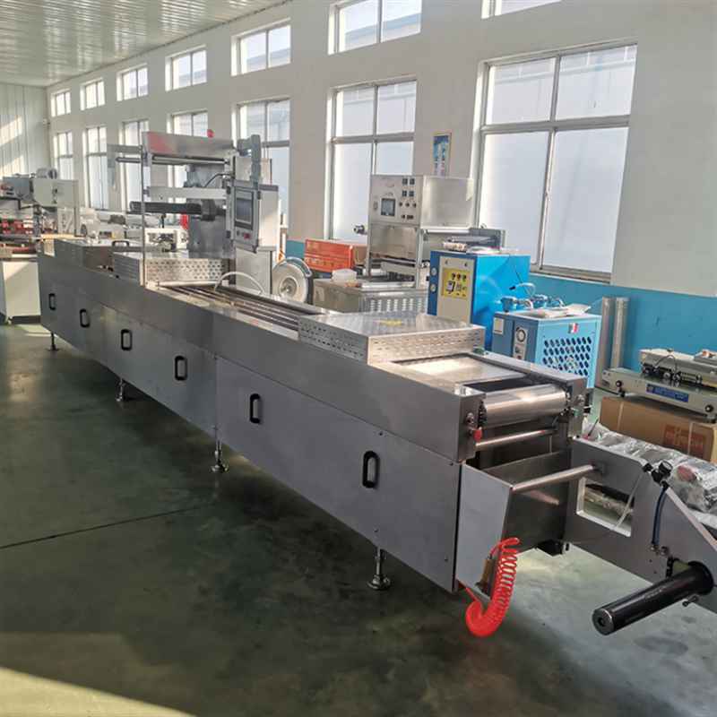 Azone Machinery Factory For Automatic Vacuum Stretch Film Form Seal