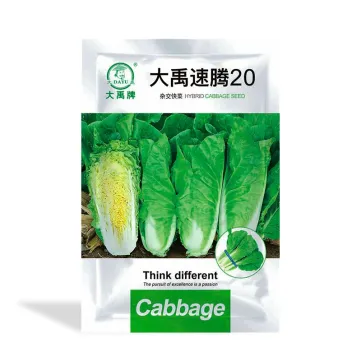 DaYu Speed Fly 20 Cabbage