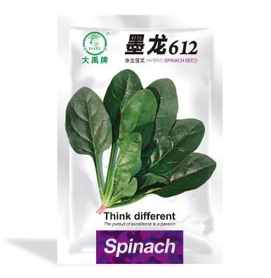 New spring and autumn hybrid spinach