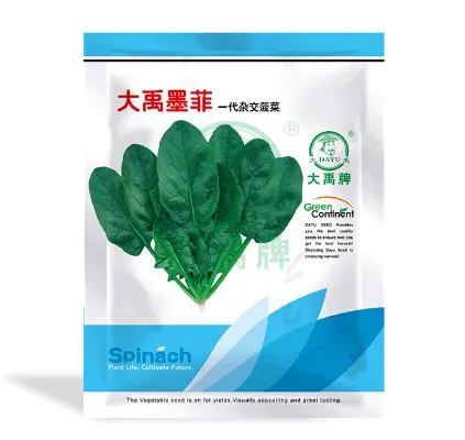 Medium mature hybrid spinach