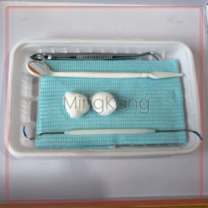 Disposable Oral Pack