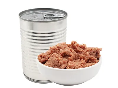 How to store canned pet food