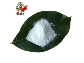 Innovations in Food Industry Magnesium Oxide’s Growing Role
