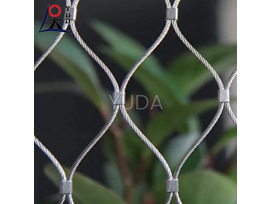 Stainless steel wire rope net for green plants