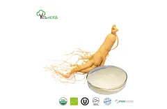 Benefits of Ginseng Extract