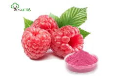 Benefits for Skin and Health form Raspberry Powder