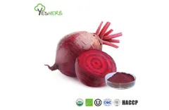 What Are the Advantages of Beet Root Powder?