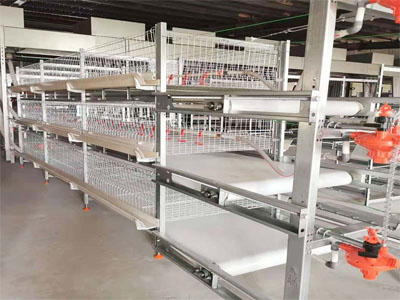 Broiler Chicken Cages