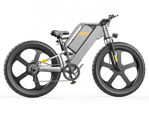 Electric Bicycles Lead The Future