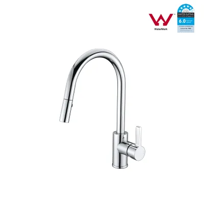 Watermark Pull Down Simple Kitchen Faucet FE1731