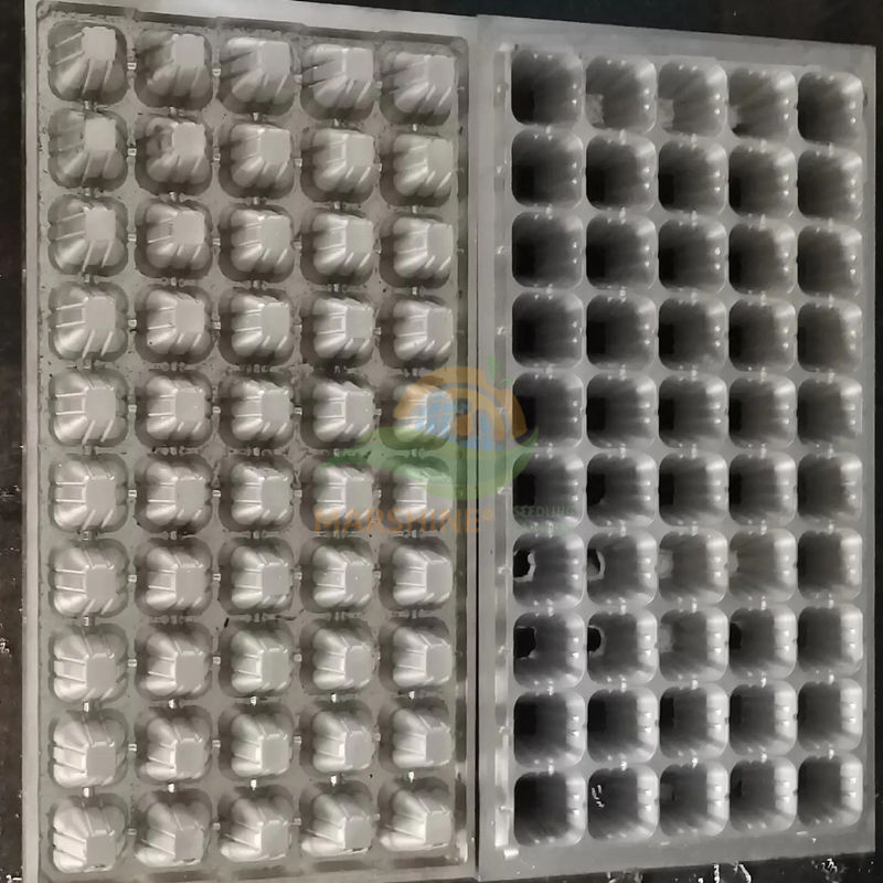 plastic seedling tray mould
