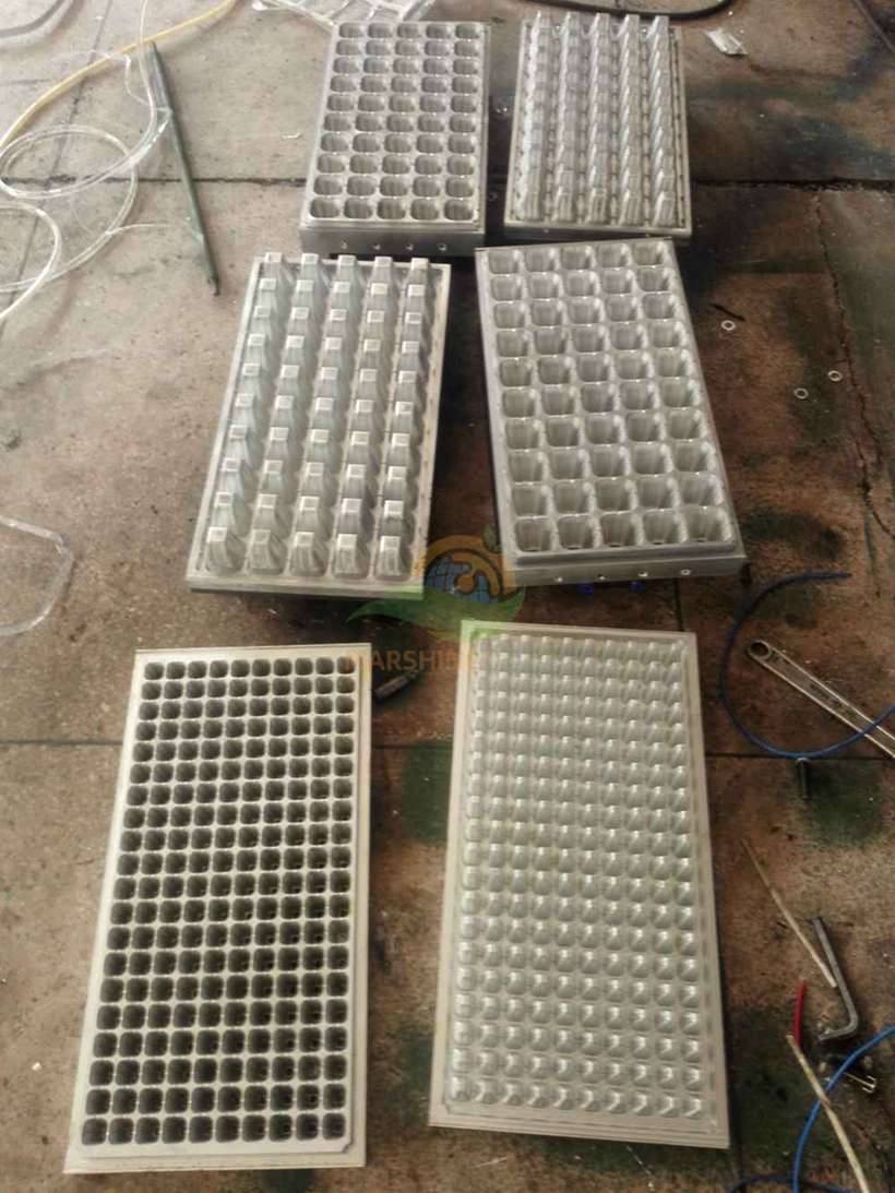 plastic seedling tray mould