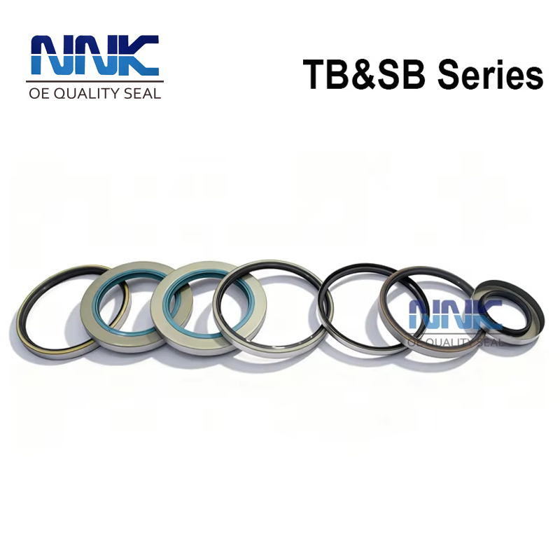 TB SB Oil Seal Metal Shaft Oil Seal Auto Oil Seal for Auto