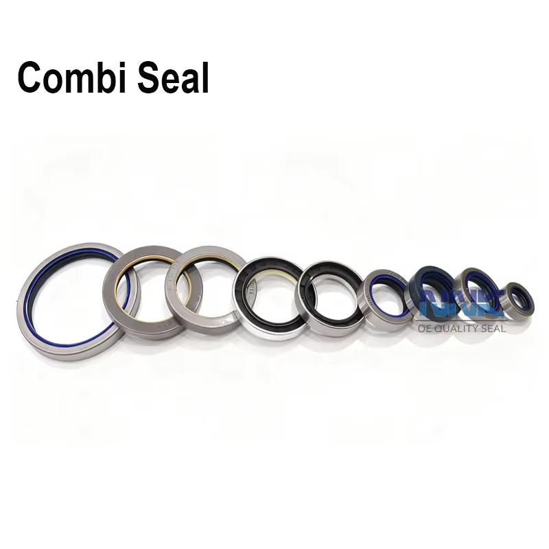 Combi Seal Agricultural Oil Seal Wheel Hub Seal for Tractor